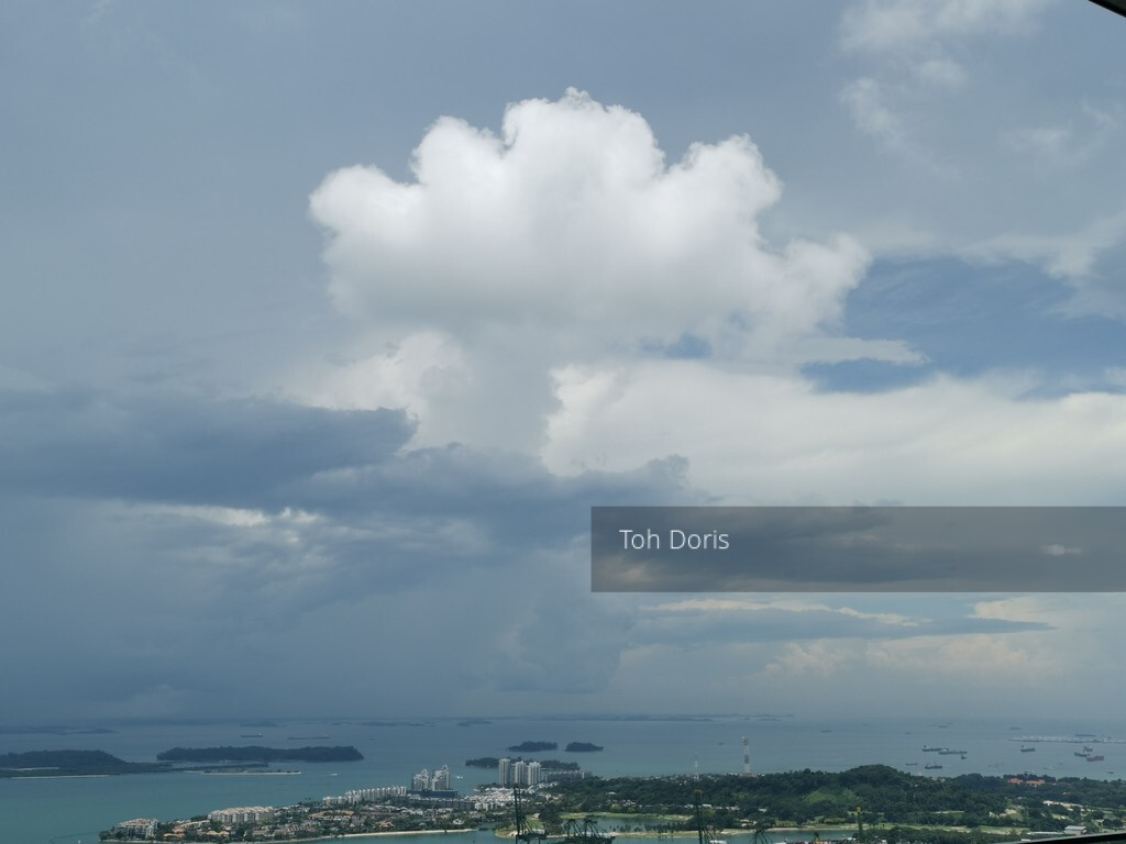 Skysuites@Anson (D2), Apartment #253831941